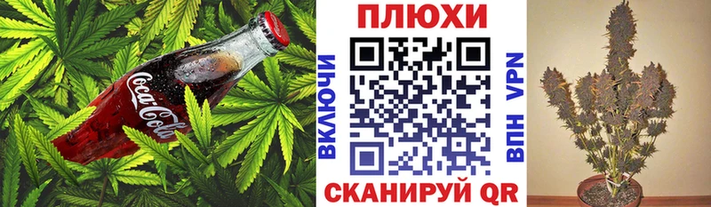 Купить где  Сатка  Cannafood марихуана 