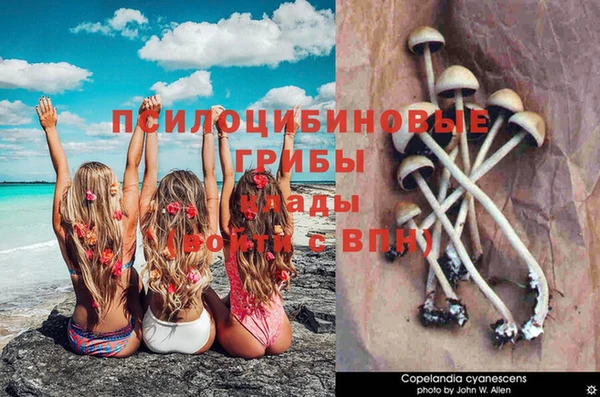 прущая мука Лагань