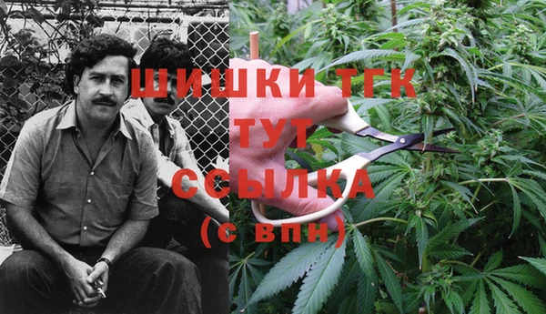 прущая мука Лагань